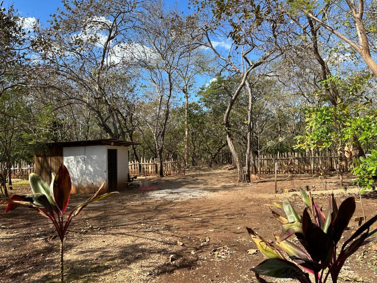 Finca Avellanas Lorena Zewnętrze zdjęcie