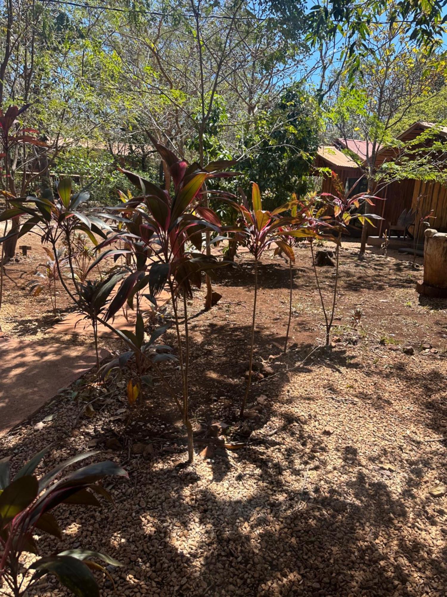 Finca Avellanas Lorena Zewnętrze zdjęcie