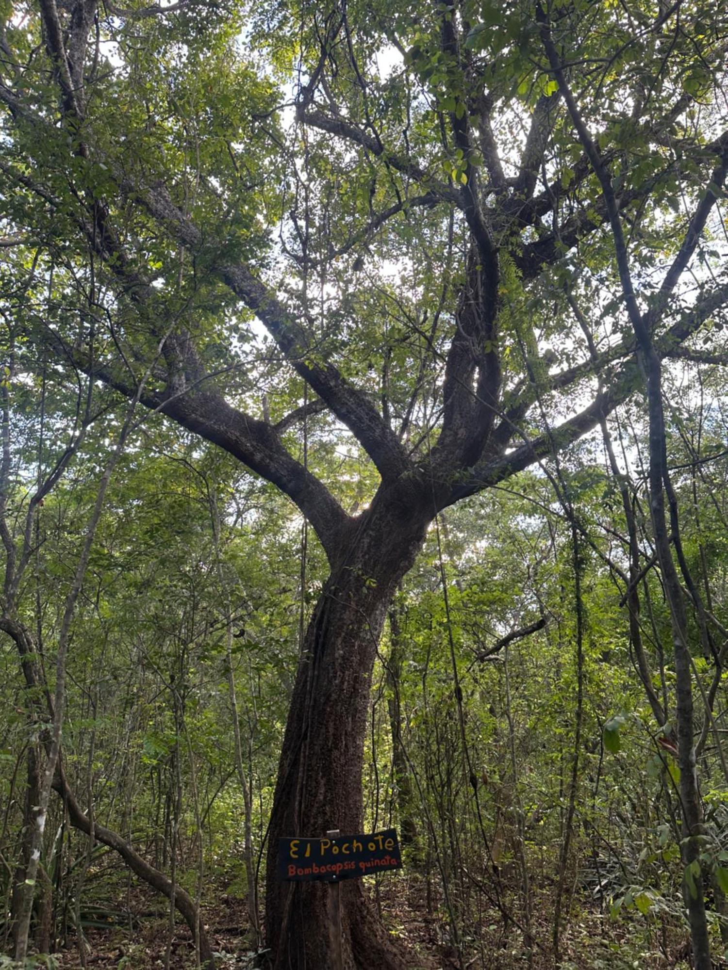 Finca Avellanas Lorena Zewnętrze zdjęcie