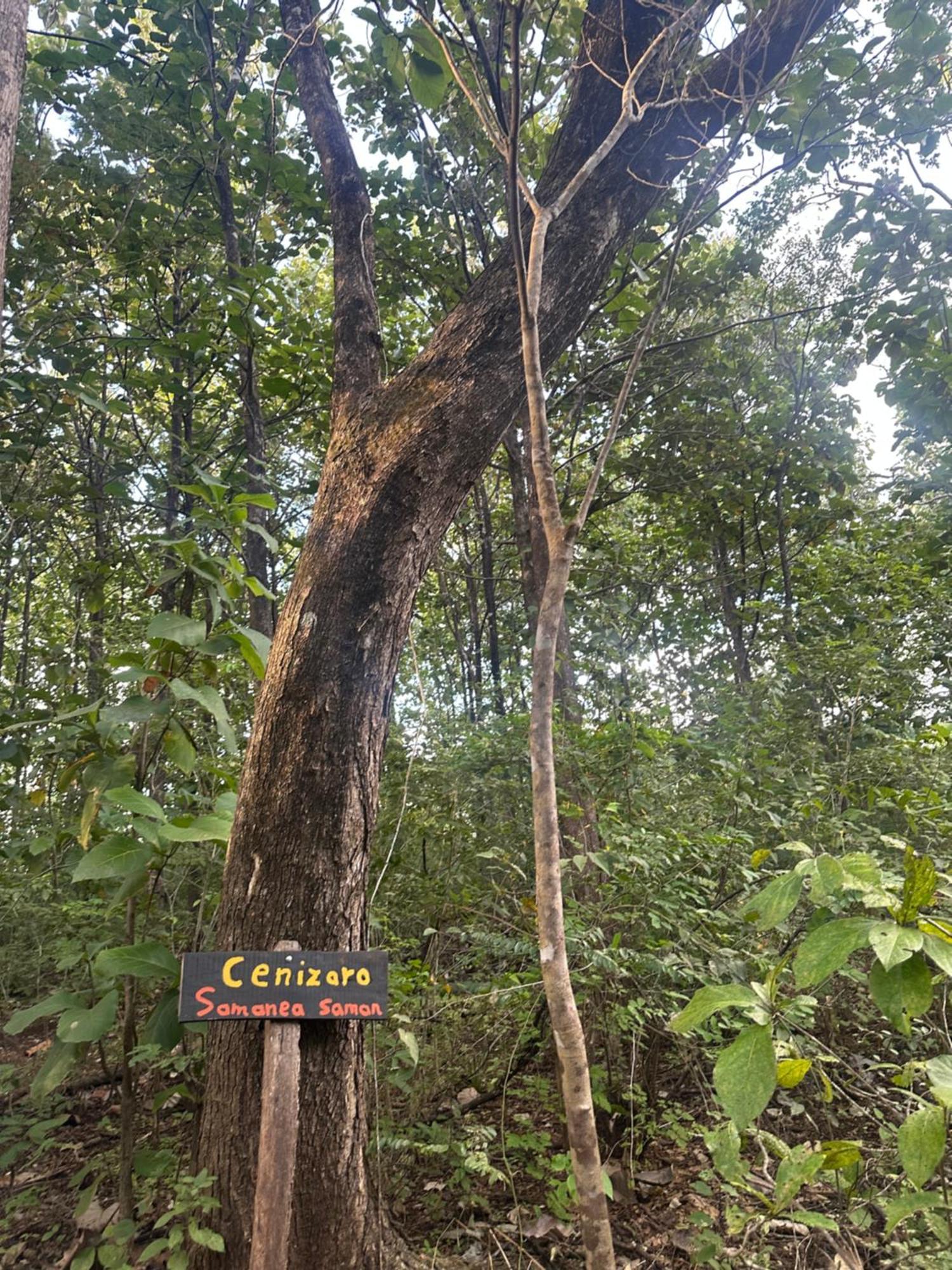 Finca Avellanas Lorena Zewnętrze zdjęcie