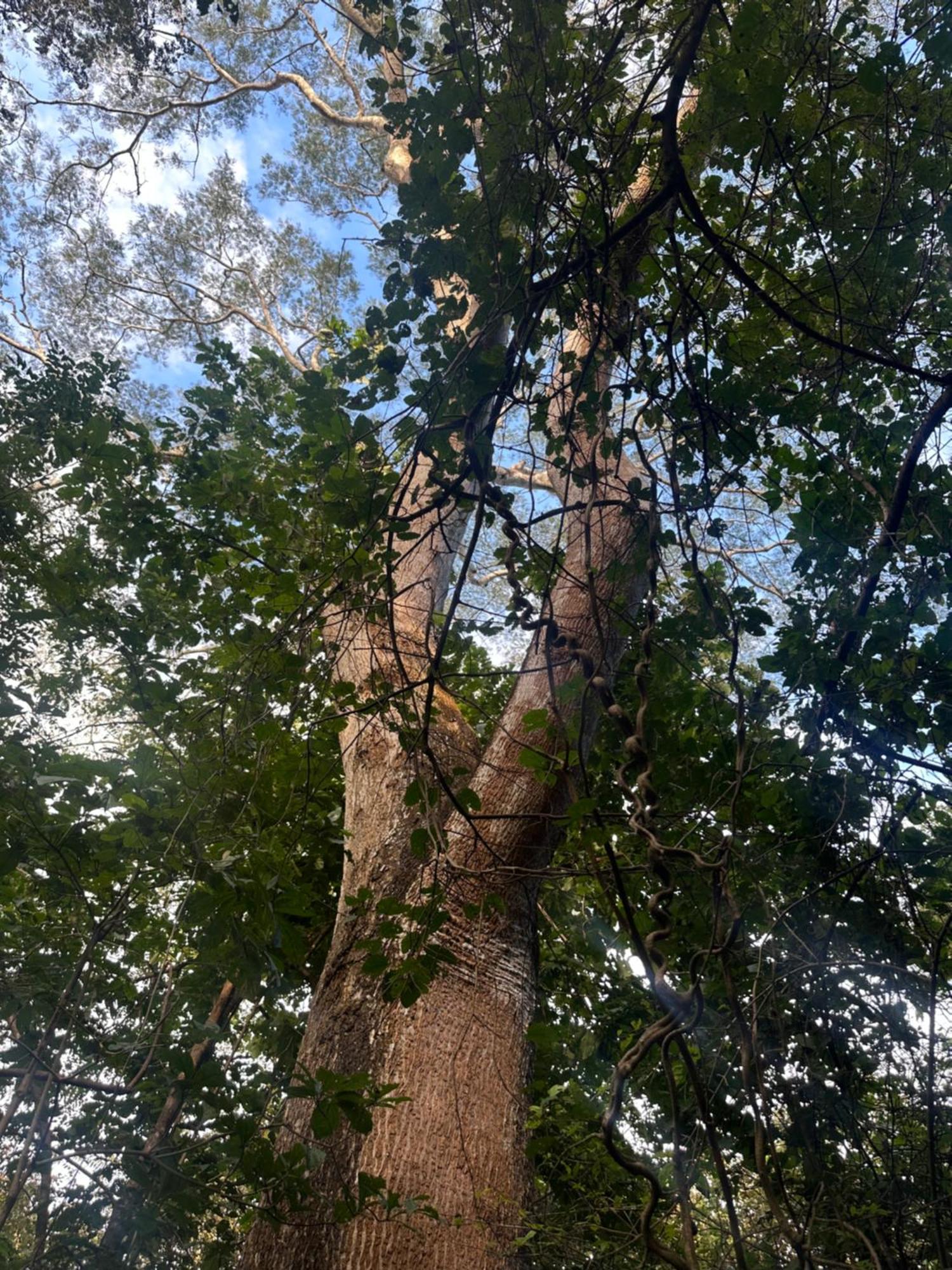 Finca Avellanas Lorena Zewnętrze zdjęcie