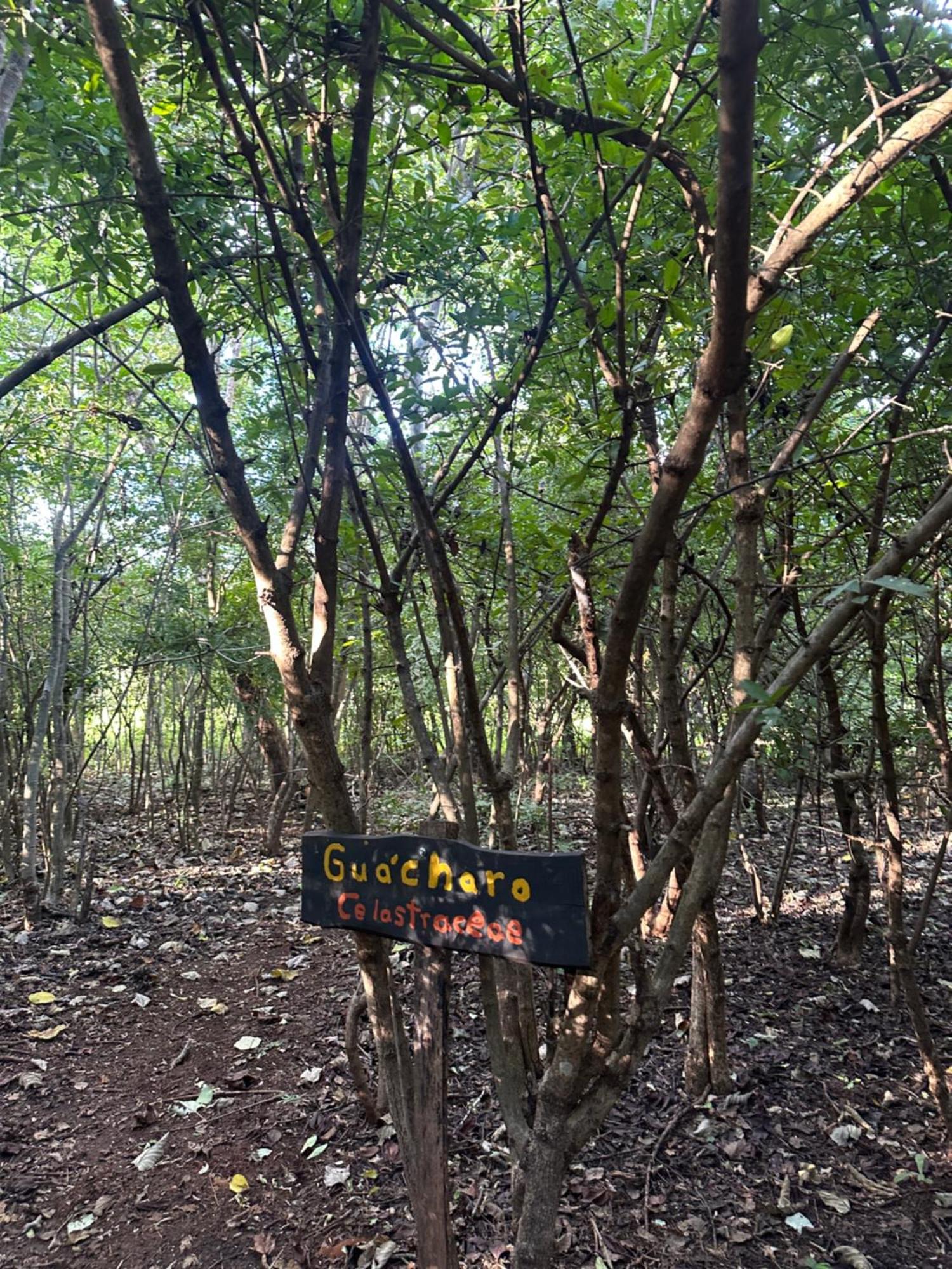 Finca Avellanas Lorena Zewnętrze zdjęcie